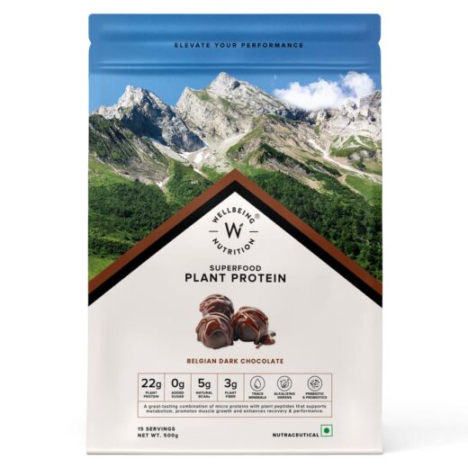 WELLBEING NUTRITION VEGAN PROTEIN 500GRM