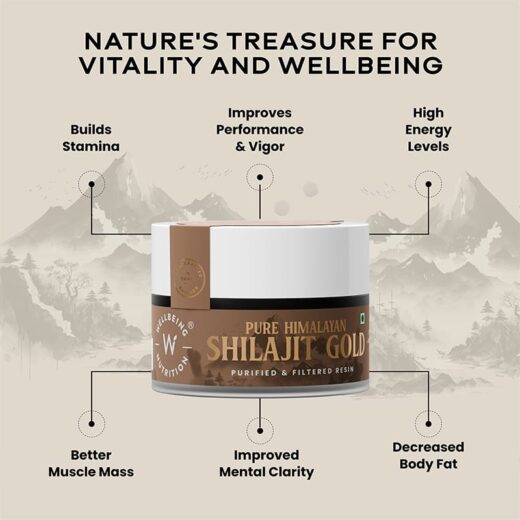 WELL BEING NUTRITION SHILAJIT GOLD 20Grm - Image 5